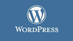 Why We Built Our Own WordPress Push Notification Plugin (And Why You Should Use It)